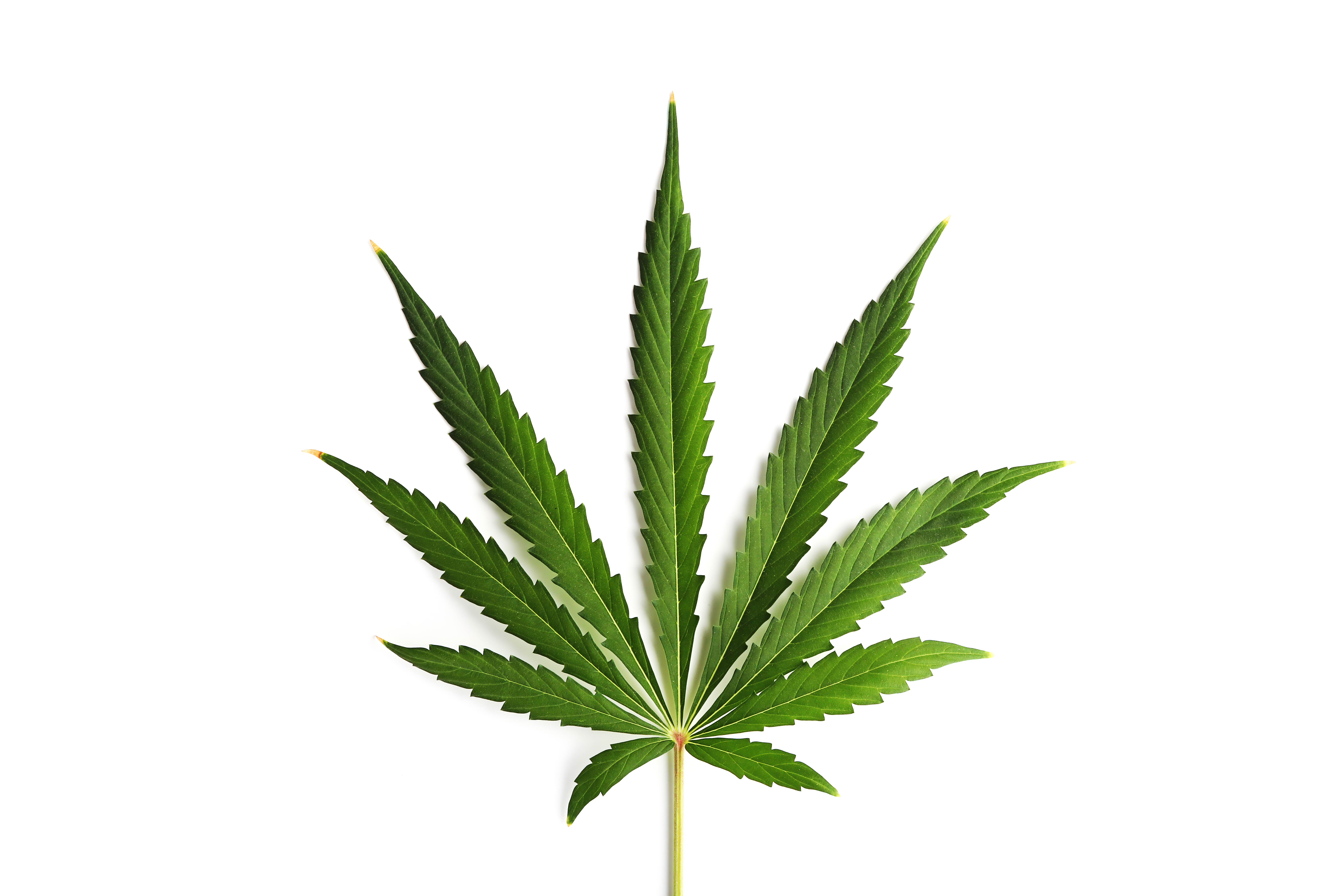 huile cbd mal de gorge